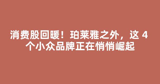 消费股回暖！珀莱雅之外，这 4 个小众品牌正在悄悄崛起-第1张图片-首页